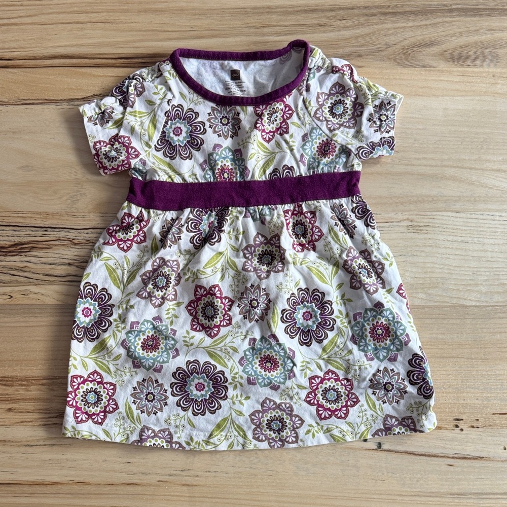 Tea Collection 18-24 Floral Dress with Purple and Green
